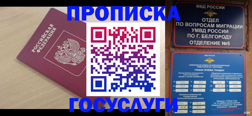 прописка законно в Рязанской области